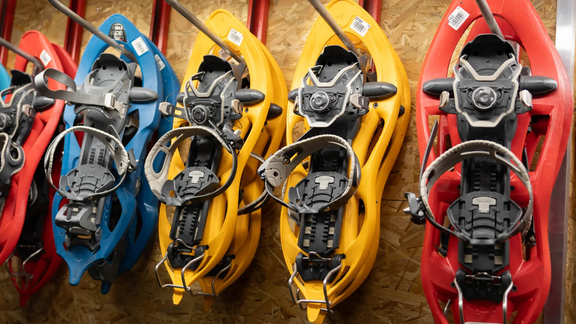 location achat raquettes