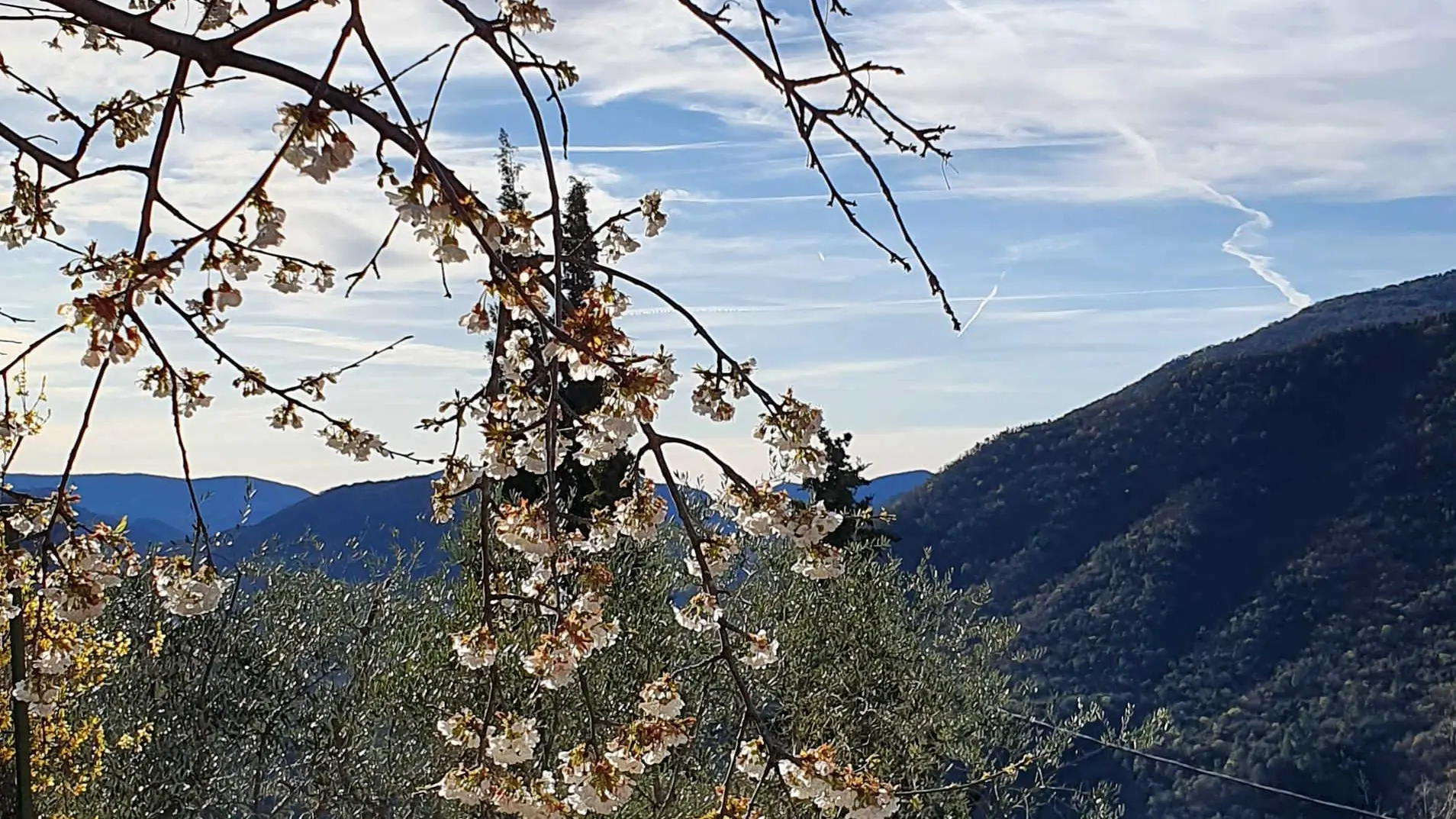 La Vistarella-Exrtrieur-Pierrefeu-Gîtes de France Alpes-Maritimes