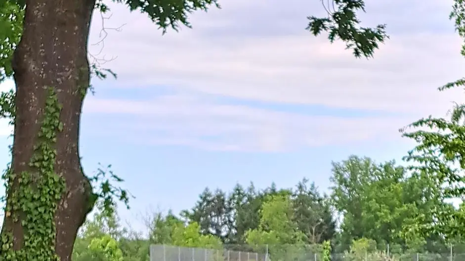 vue sur le tennis