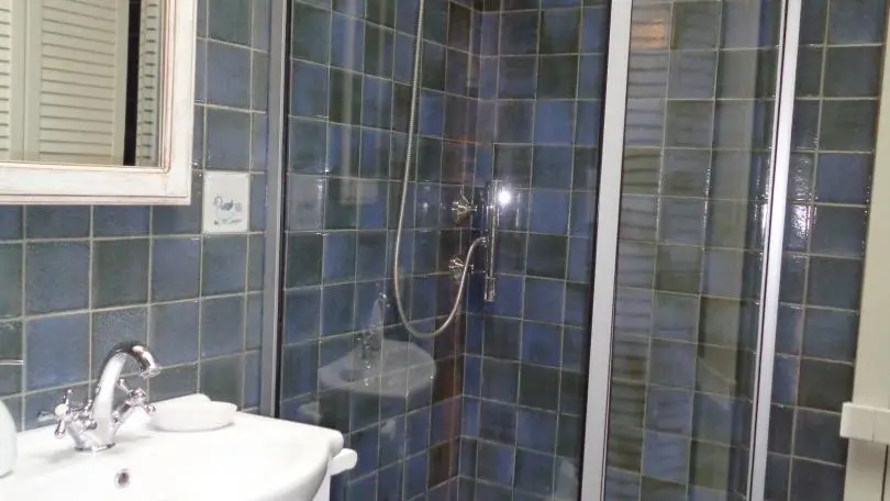 Salle d'eau avec douche et WC sanibroyeur (accès par la chambre des enfants/salle de jeux).