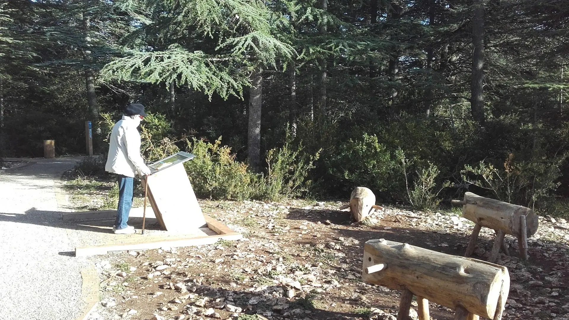 Aire d'interprétation