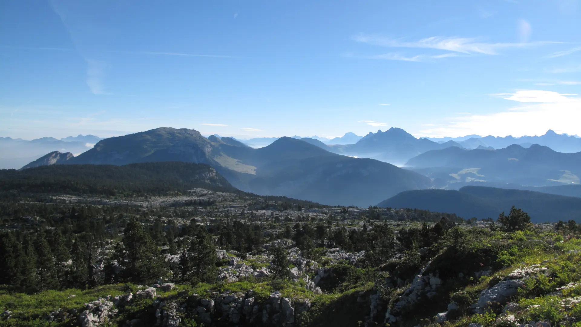 Panorama