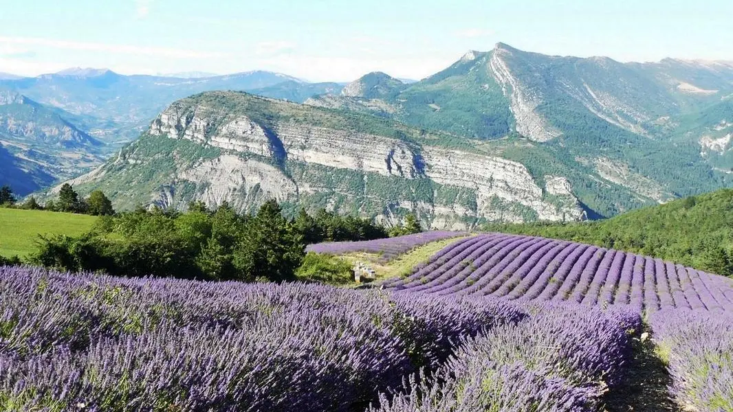 Location de vacances : Liochette à La Faurie