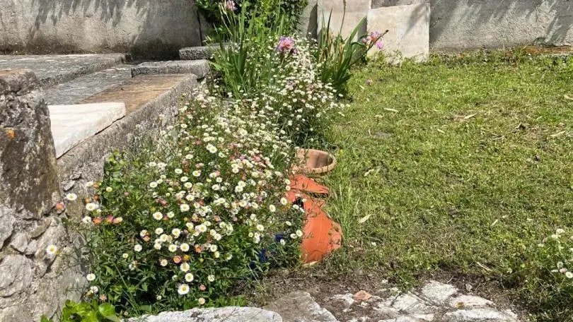 Jardin Gîte du Loup Gîtes de France Côte d'Azur Alpes-Maritimes à La Colle sur Loup