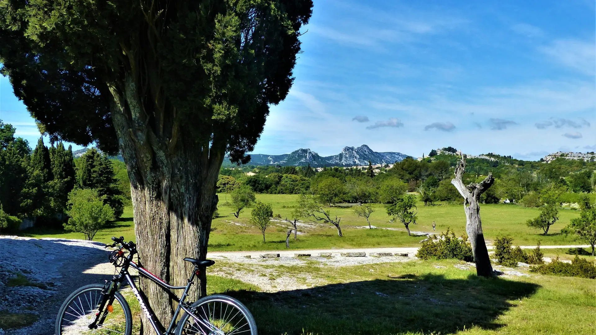 Un paysage de Provence