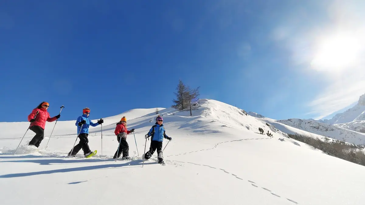 Raquette Pontet / Aiguillon