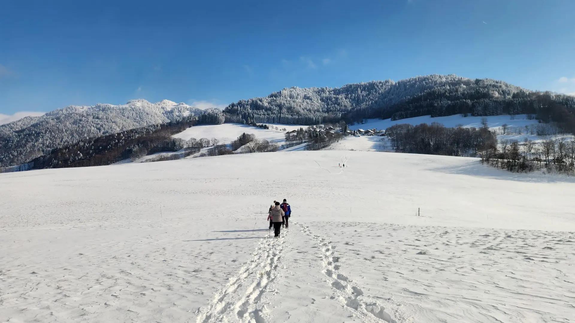 Plateau des Lavouets - bogève