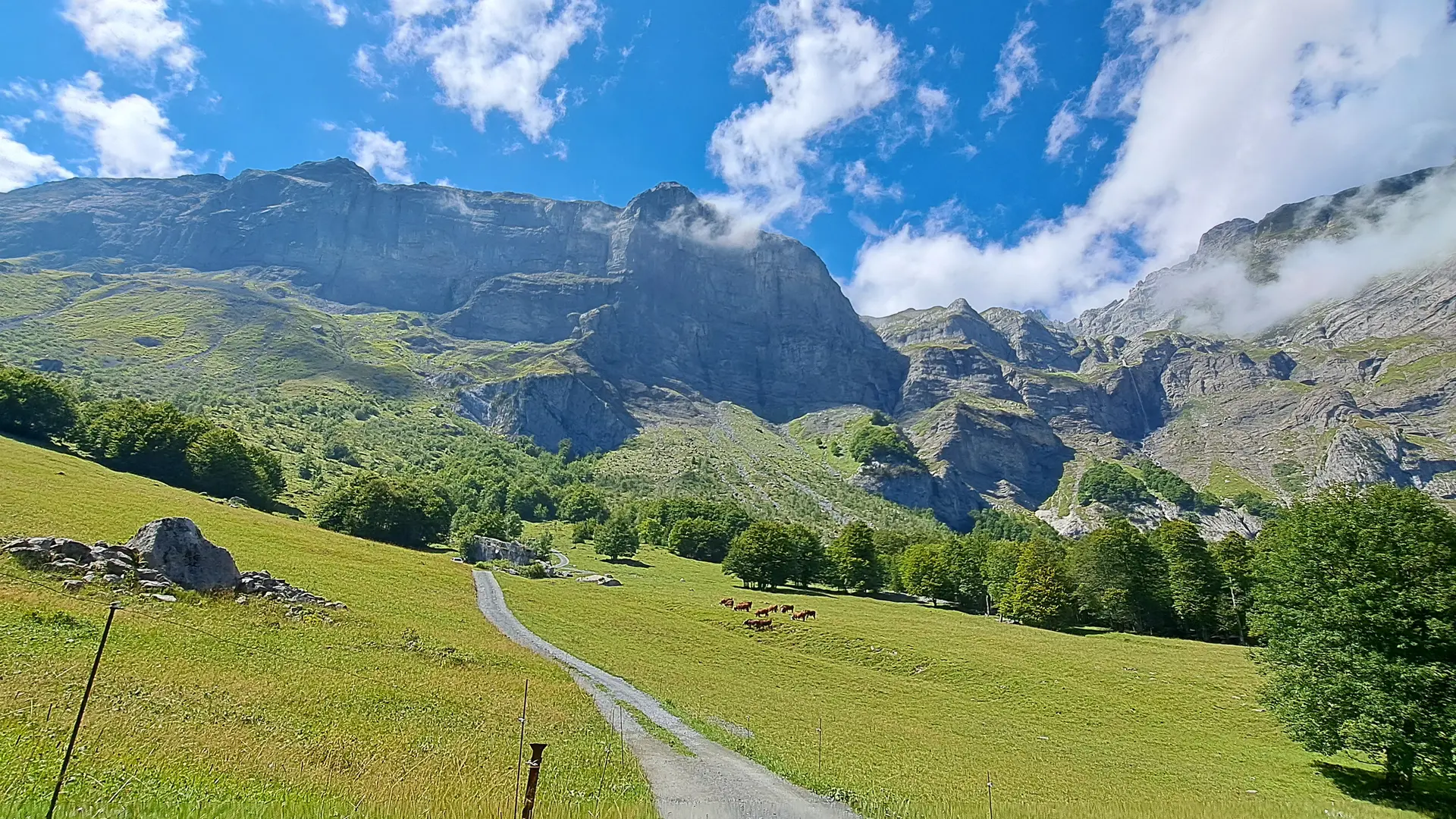 Chemin pédedstre et champs