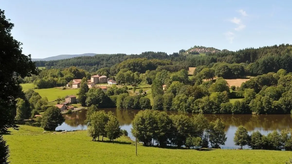 vue de la terrasse : l'étang de la Goutte