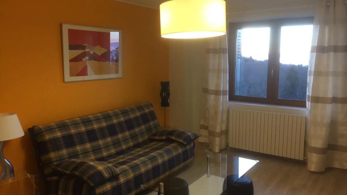 salon à l'ouest, 20m², belle vue lac, clic clac de 120cm, tv