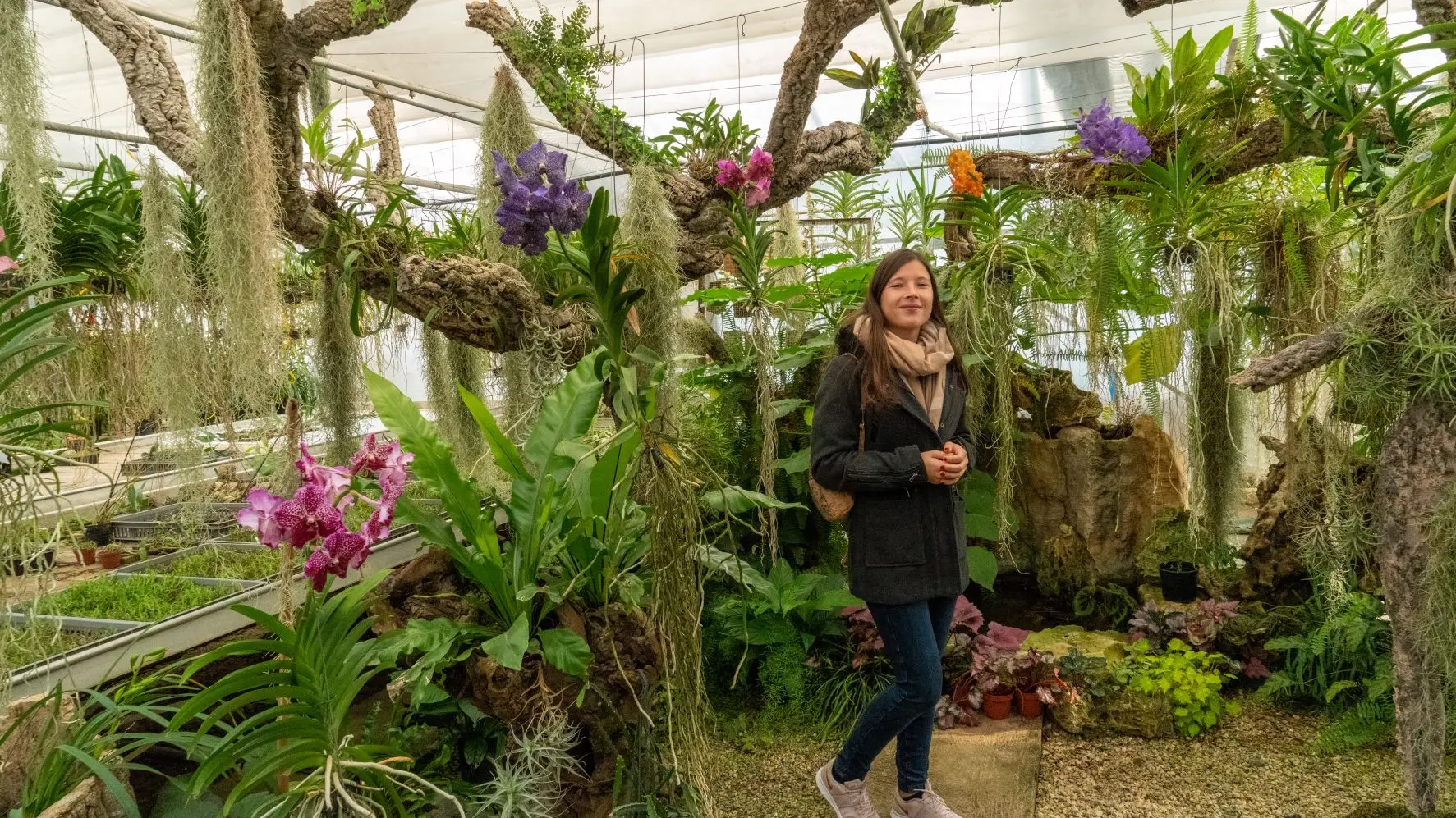 Leçon de botanique_Roquebrune-sur-Argens