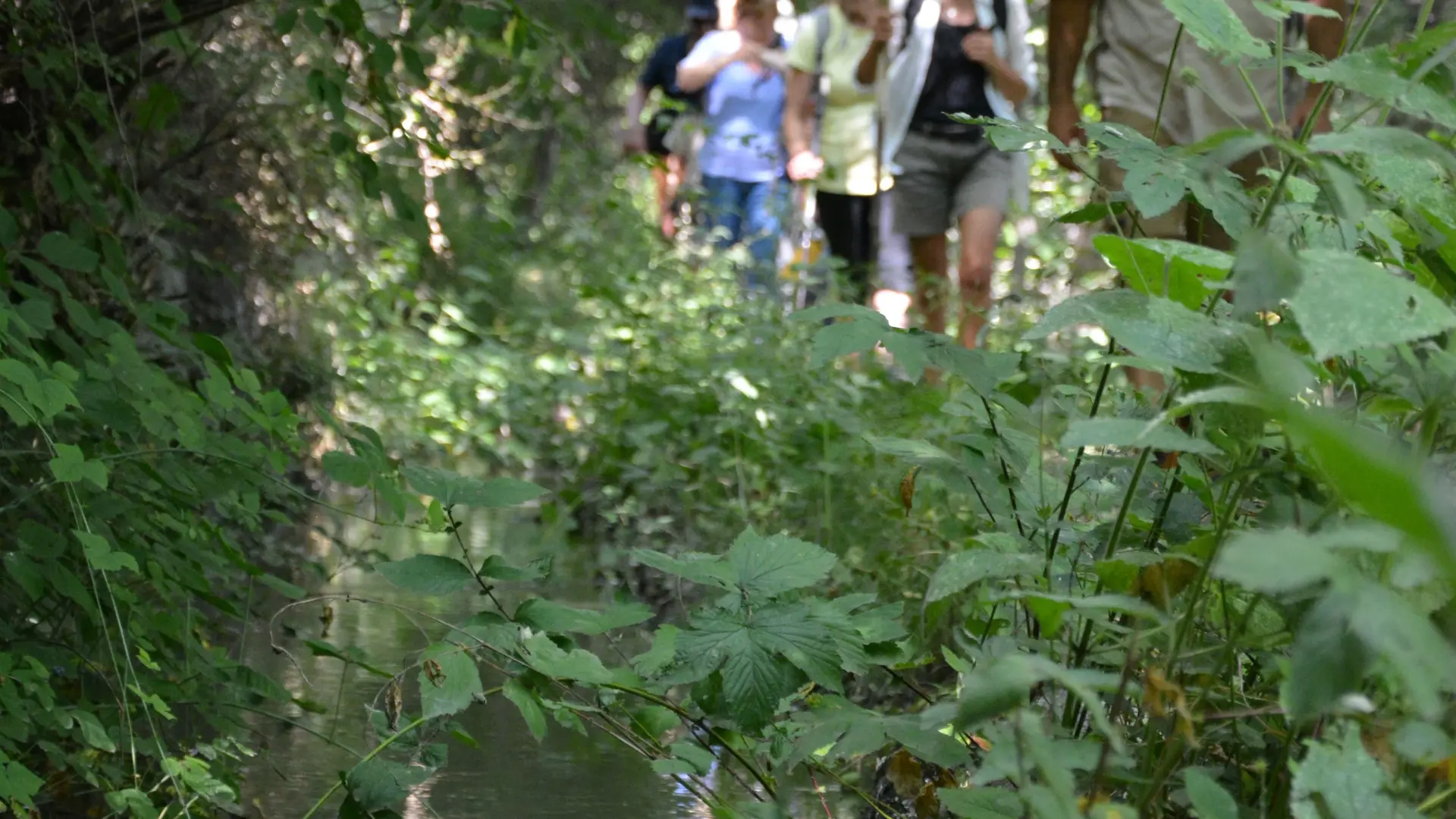 Balade sur les canaux au départ de Puy-Saint-Pierre