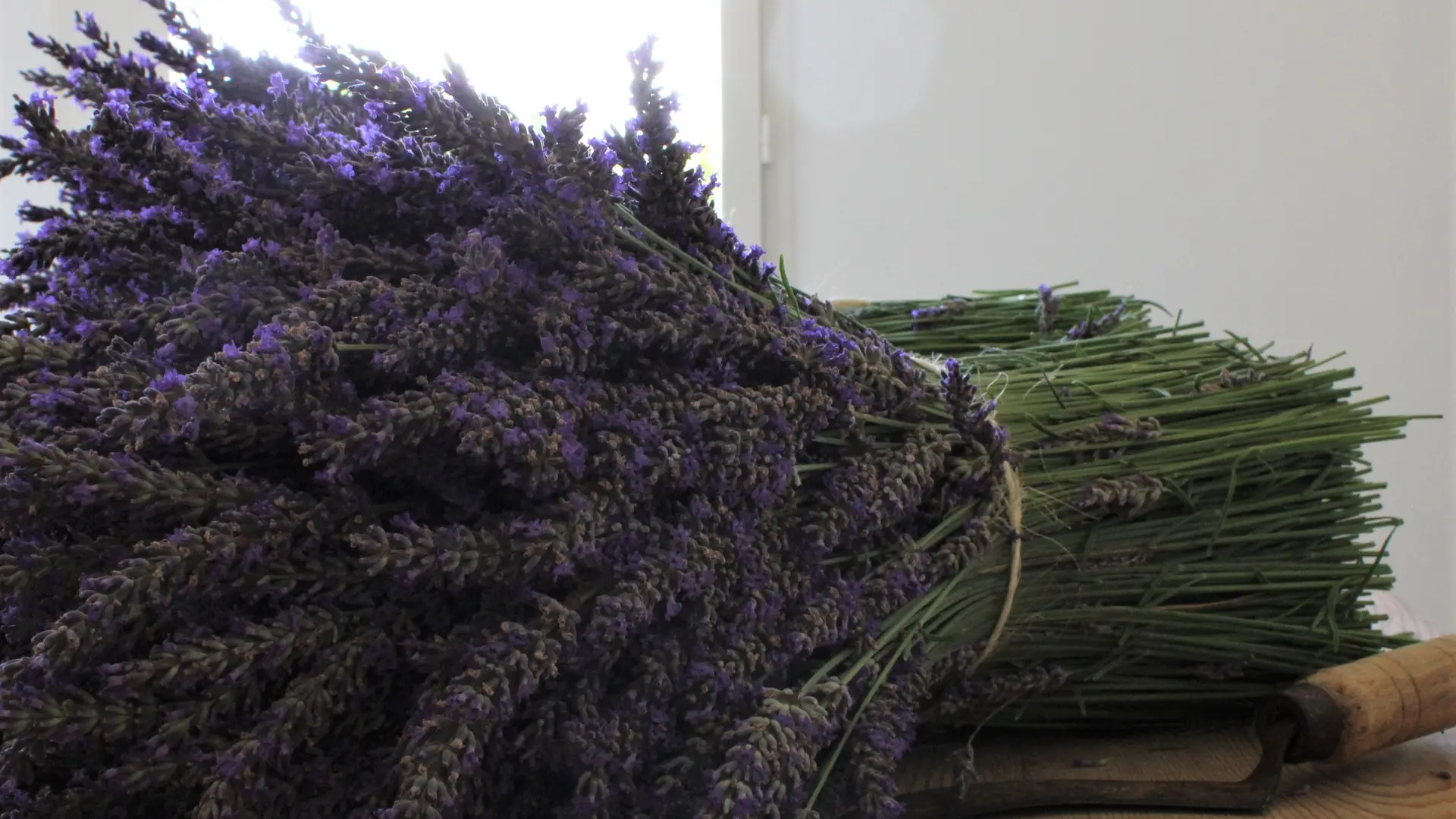 La Provence en Bouteille