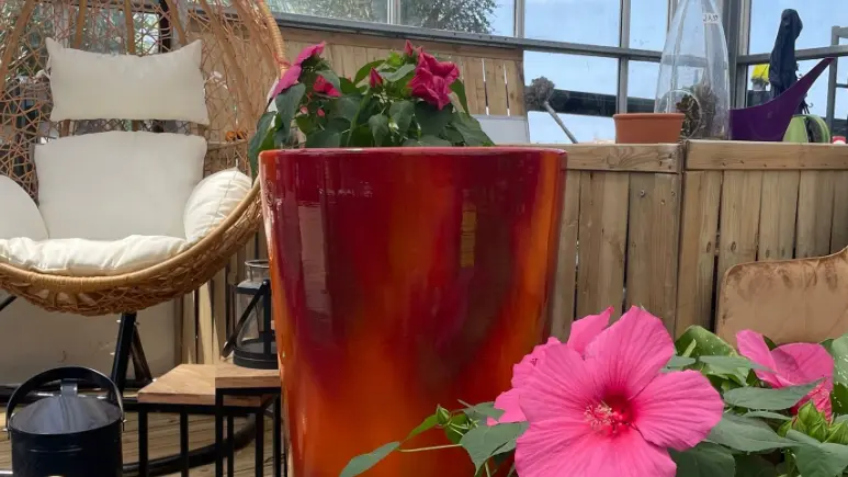 Eintritt in das Gewächshaus