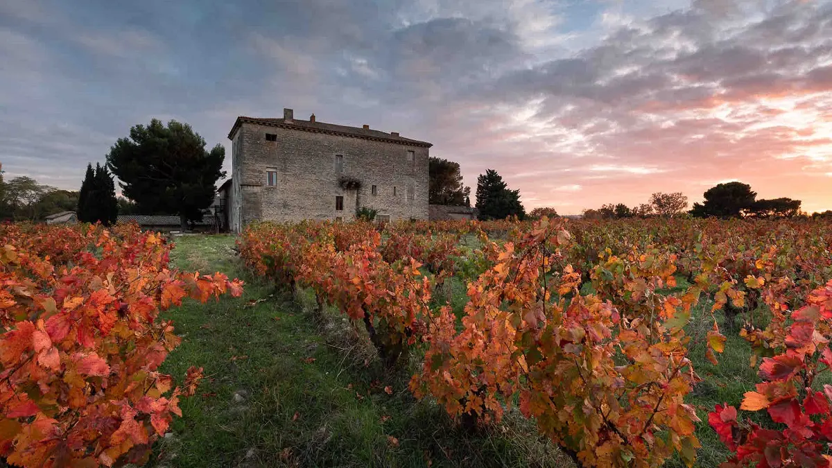 Chateau d'Escarvaillac