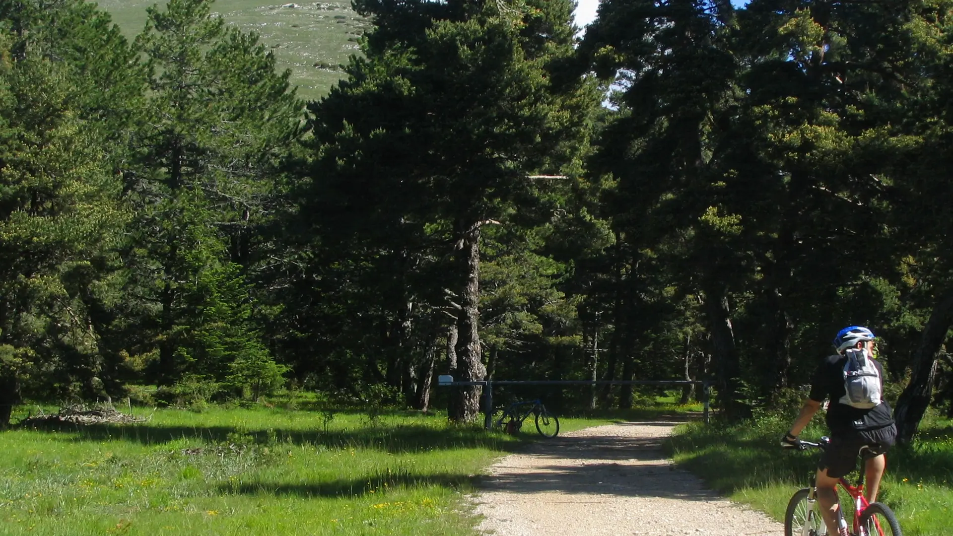 De belles prairies alpines bordent le sentier