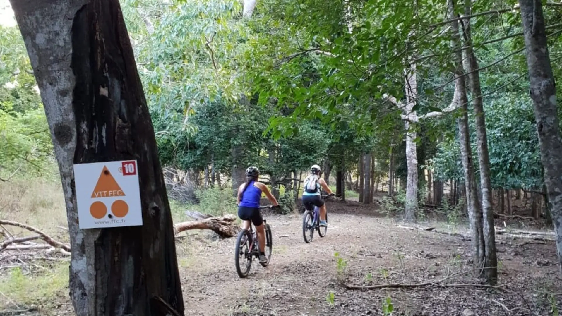 Début du parcours