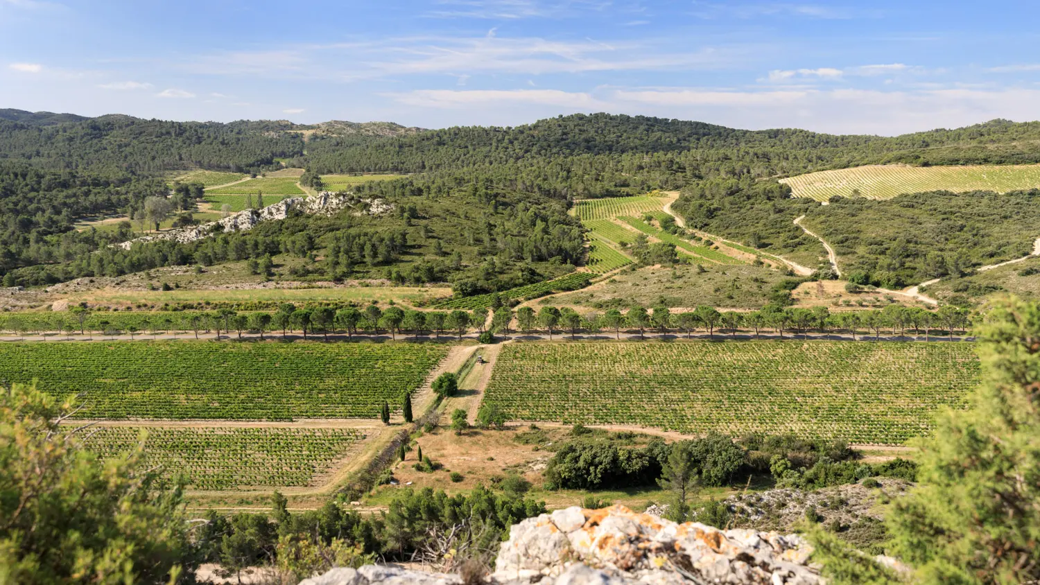 Domaine de la Vallongue à Eygalières