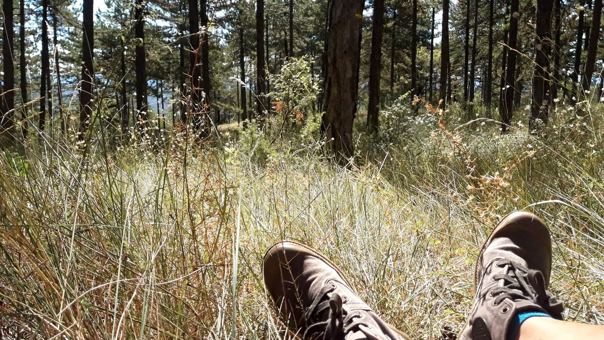 Petite pause en chemin