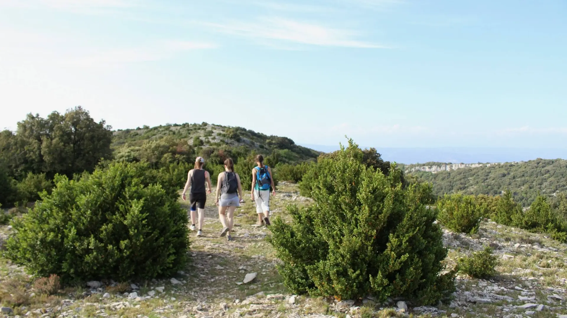 Sur les crêtes du Petit Luberon