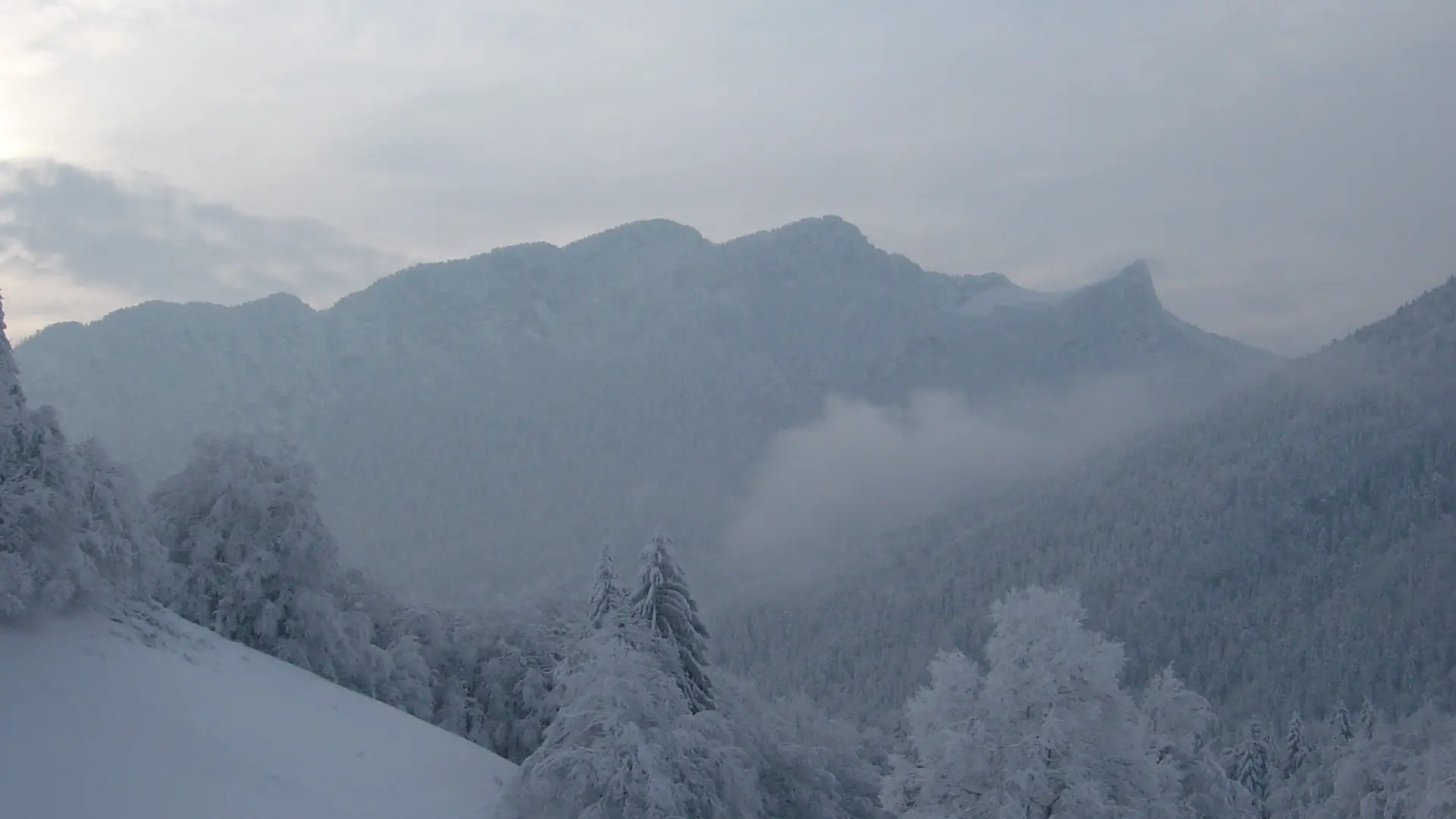 Vue depuis le gîte