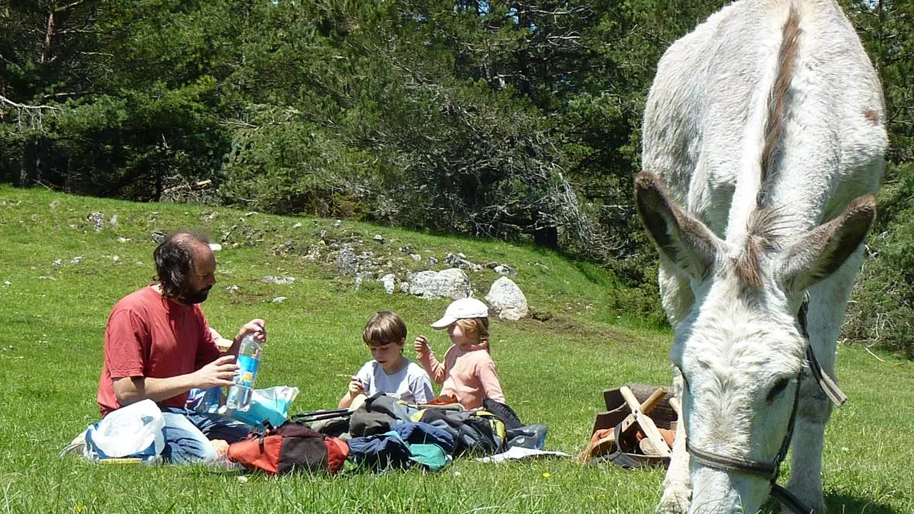 Balade avec un ane, pause pique nique