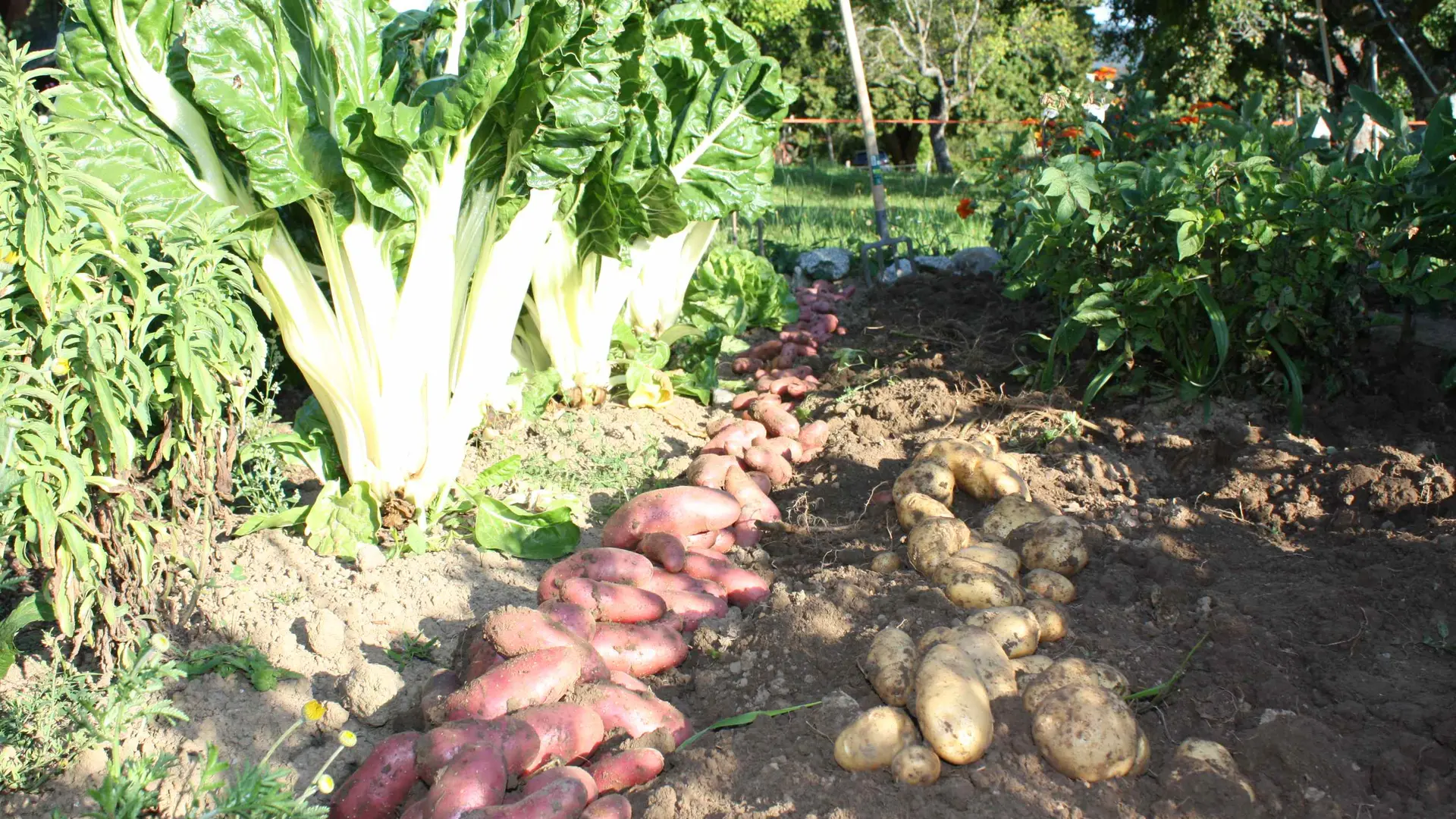 Ferme de Chosal