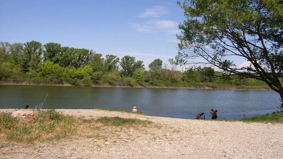 Camping du Parc des Libertés