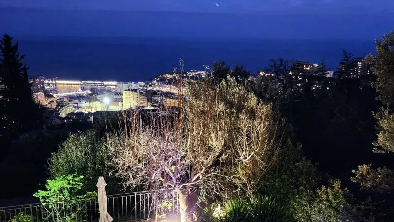 L'Amandier-Vue-Beausoleil-Alpes-Maritimes