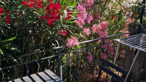 Terrasse au nord depuis la chambre