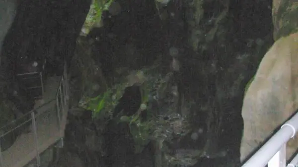 Photo touristique: Les Gorges du Pont du diable