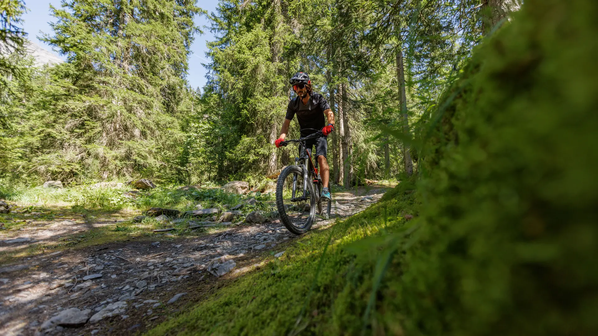 VTT en forêt à Passy Mont-Blanc
