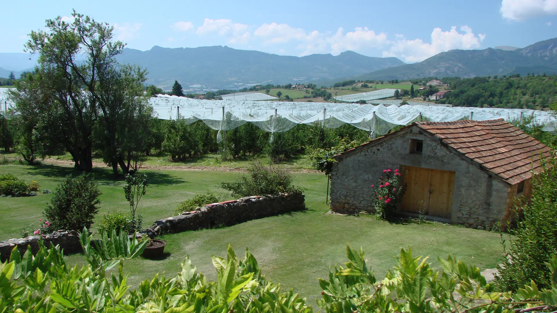 Vue sur les pommiers
