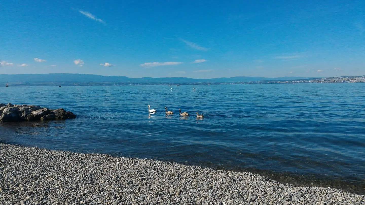 Le lac Léman à 2mn en voiture