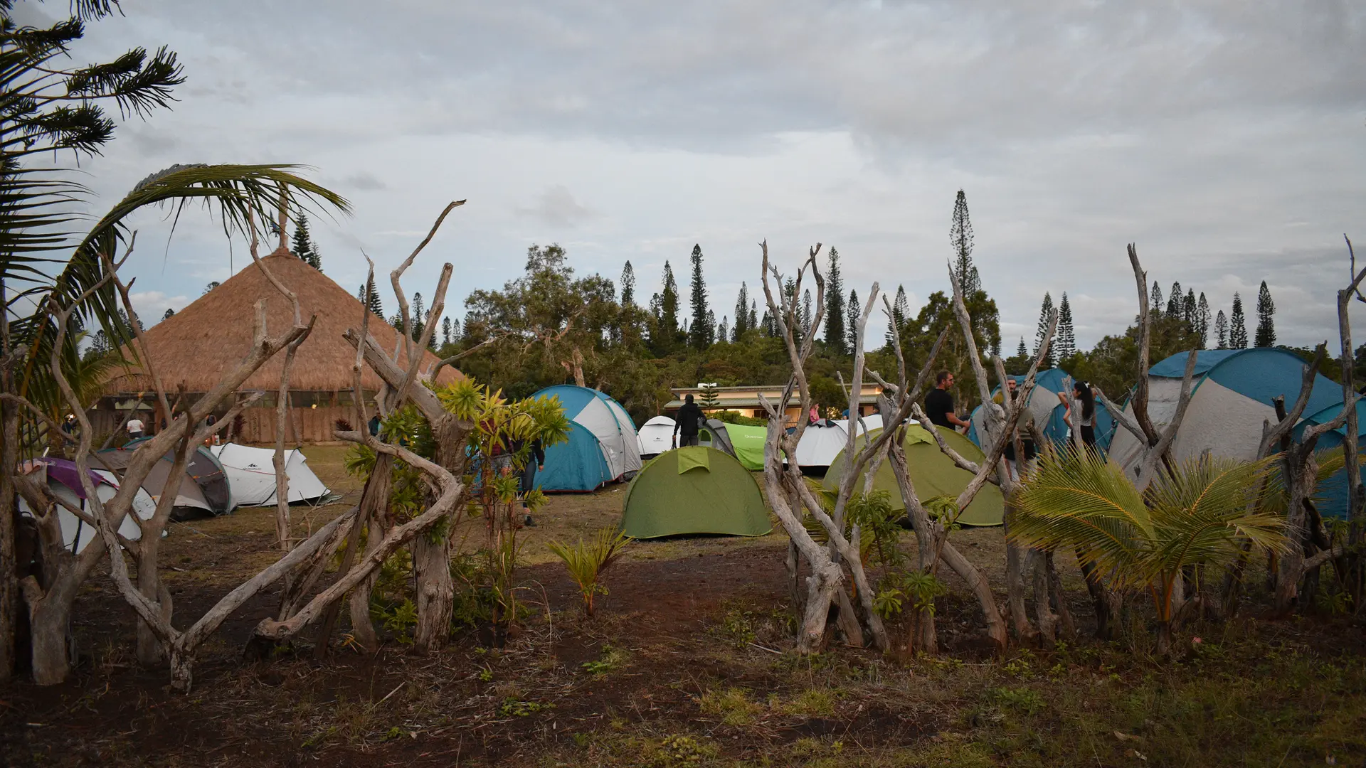 Vue du très vaste terrain de camping, lors de l'édition précédente des Trésors du Sud spécial Grand Sud