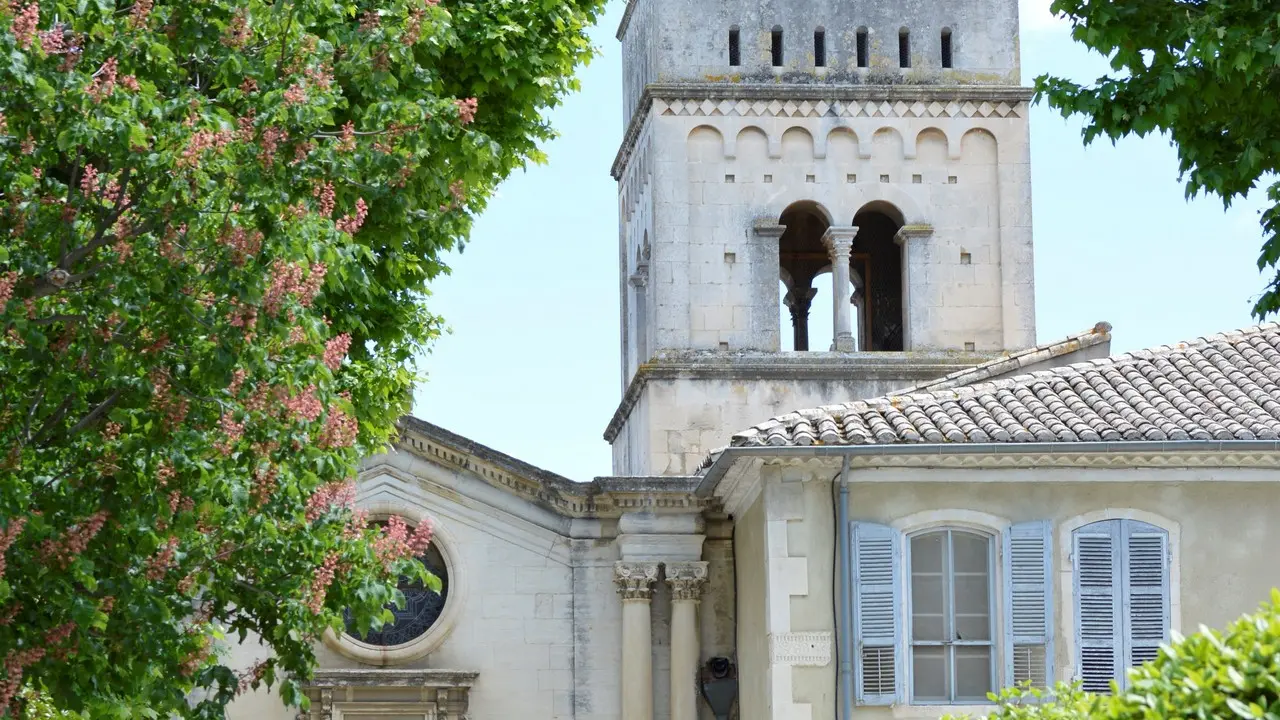 Excursions touristiques avec Cécile Beillieu - Tours in Provence - Alpilles, Luberon, Camargue, Gorges du Verdon