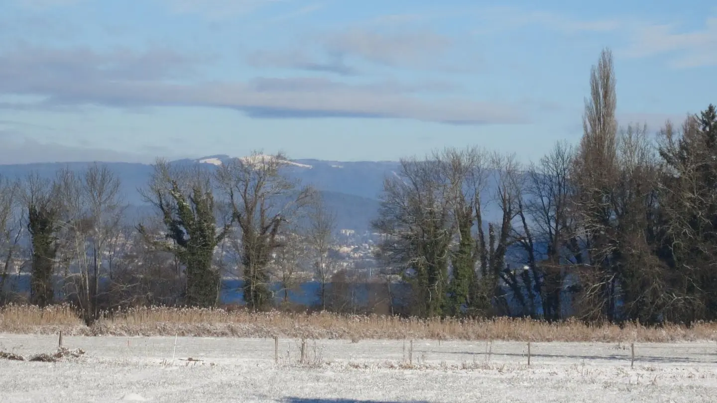 le lac est tout près , au bout du jardin..