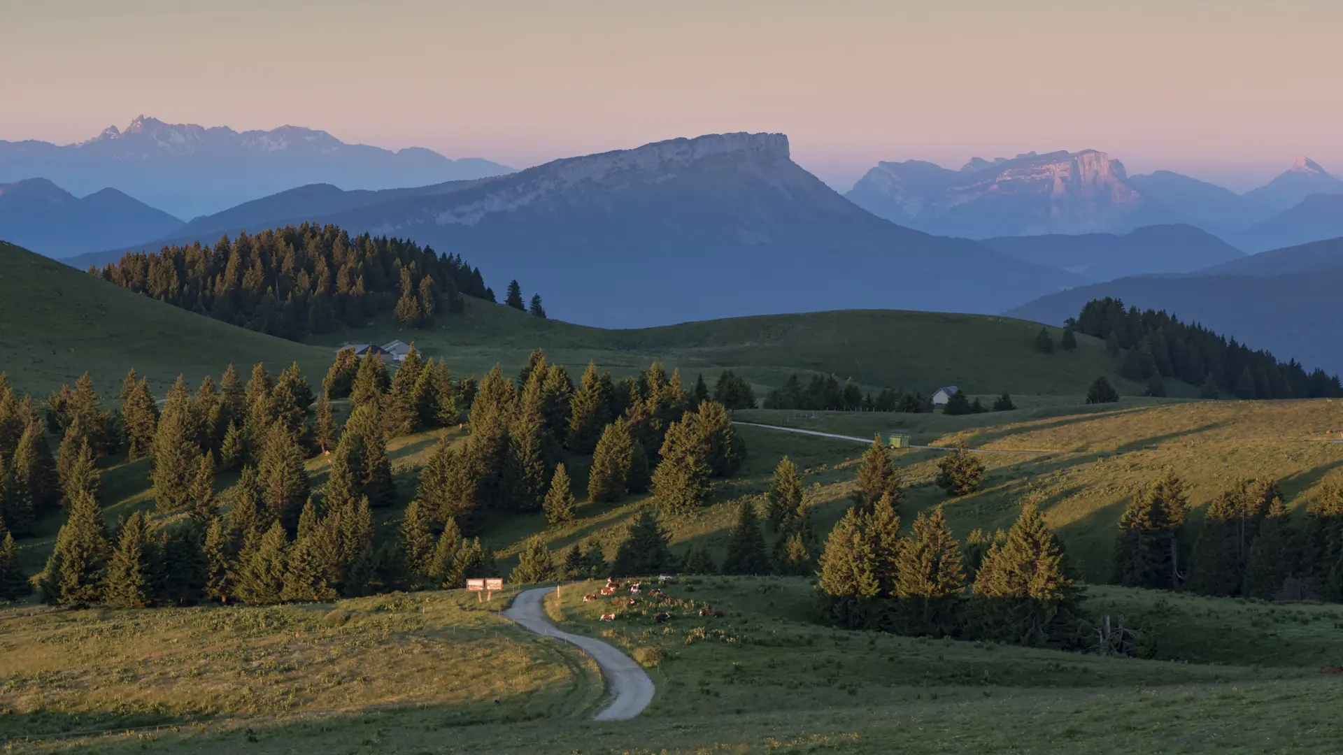 Plateau sommital du Semnoz