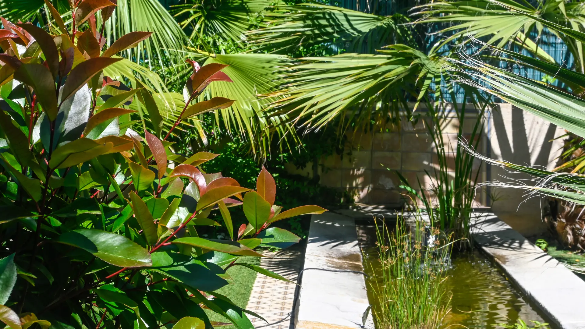 Terrasse Bassin