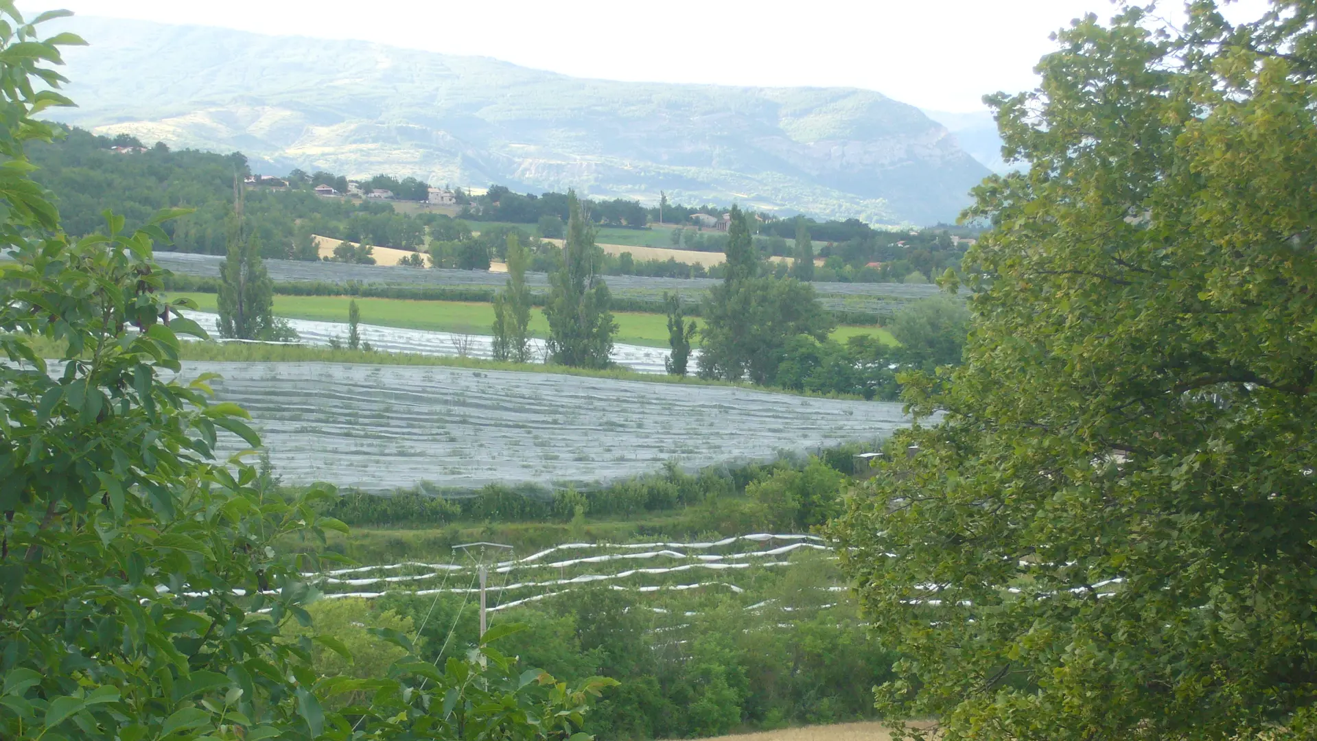 Vue sur les vergers