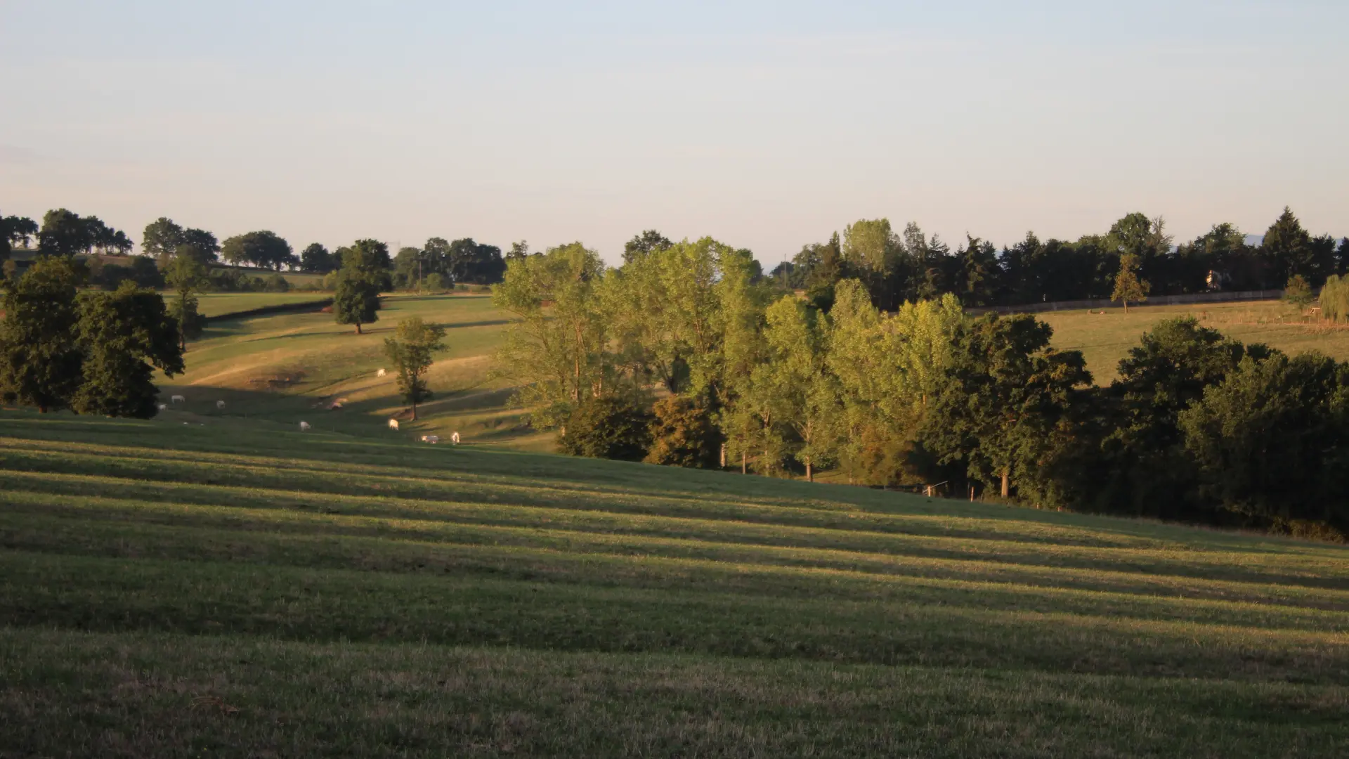 Circuit pédestre La Goutte Pillot
