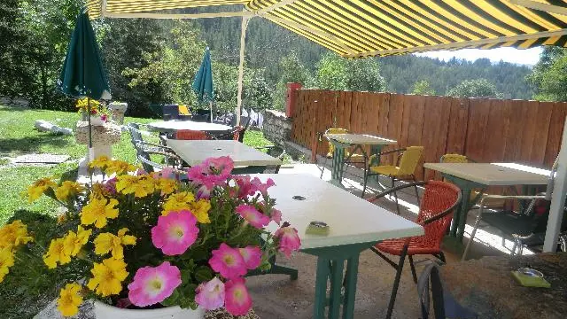 La terrasse ombragée