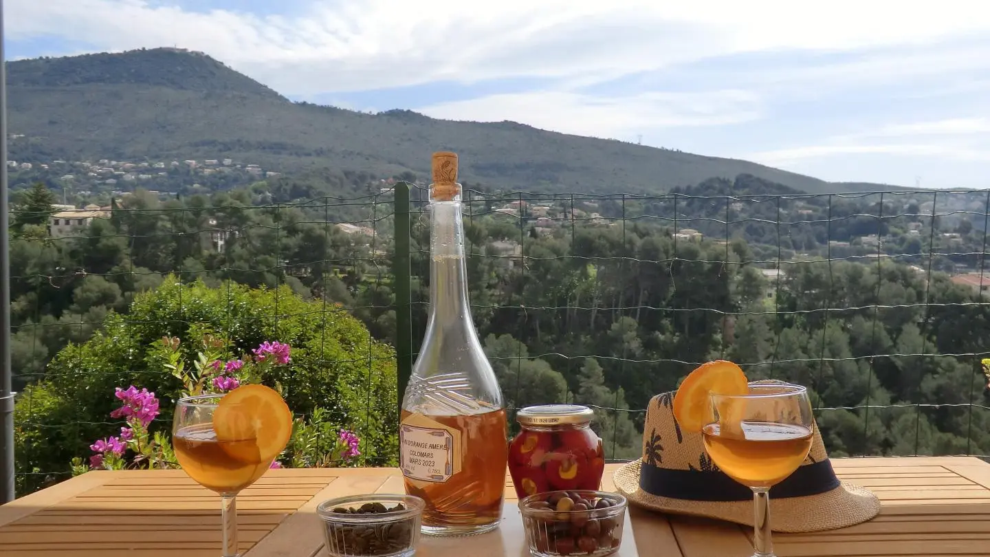 Apéritif avec vue sur Mont Chauve Gîte Magnolia à Colomars Gîtes de France Alpes-Maritimes