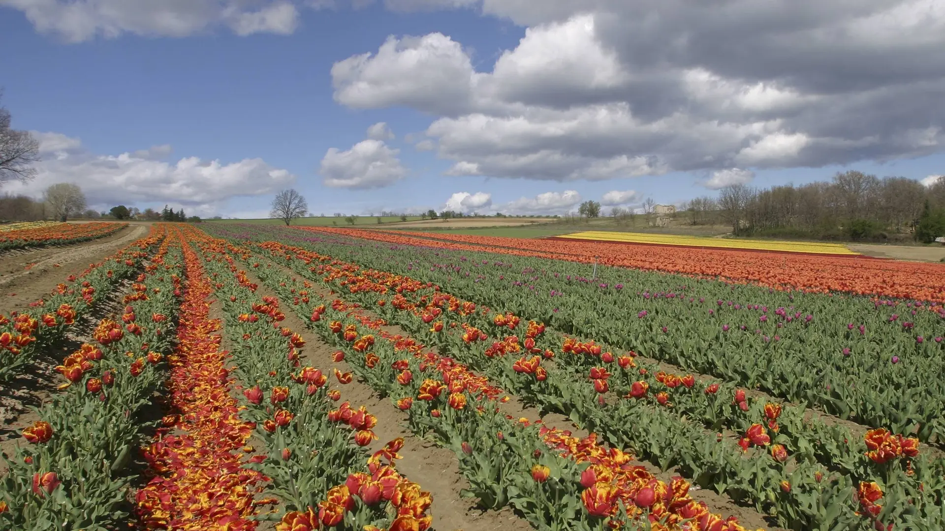 Plan des Aires tout en couleur !