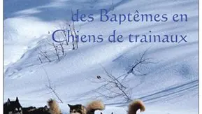 Chiens de Traineaux