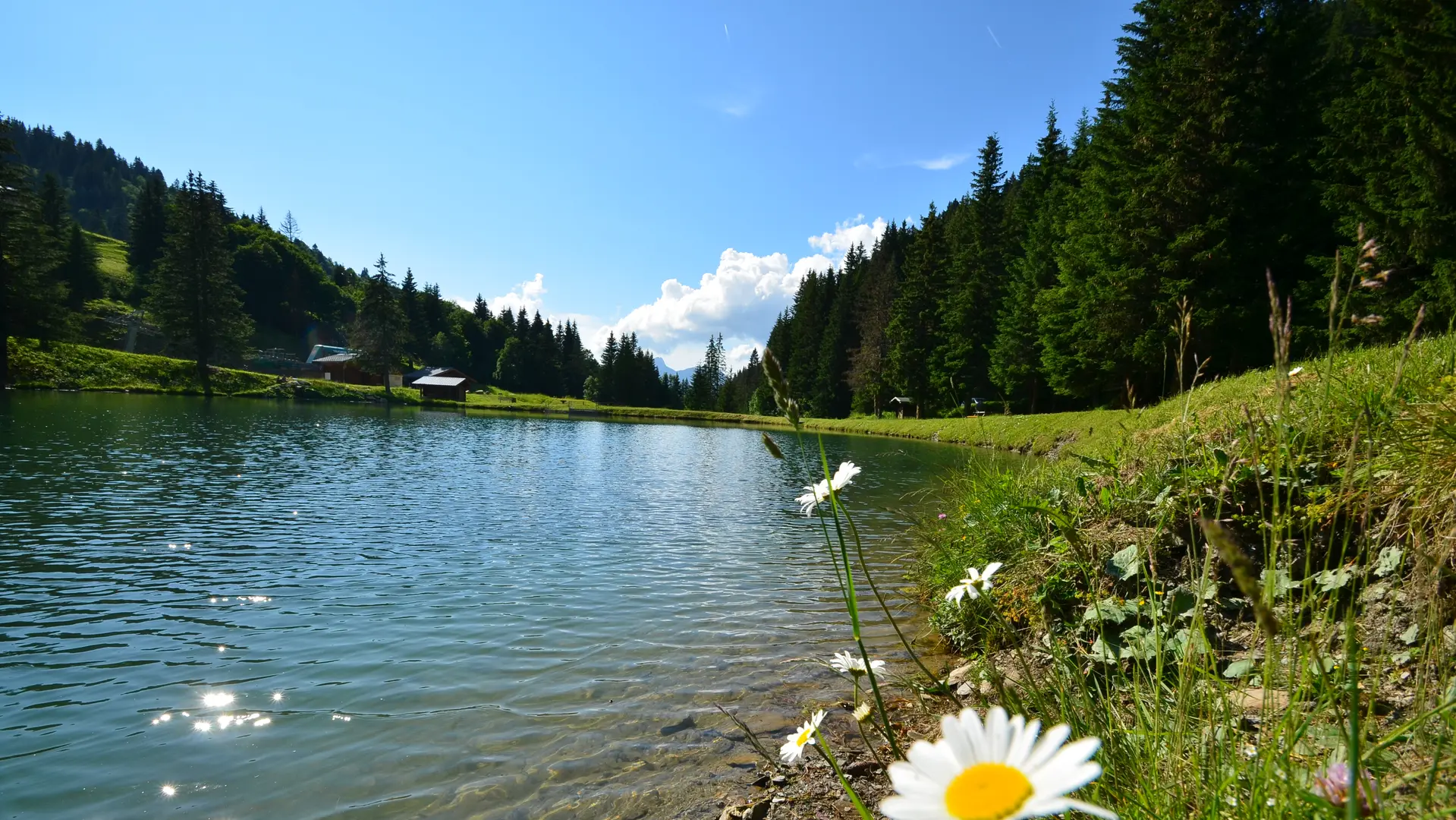 Lac du plan désert