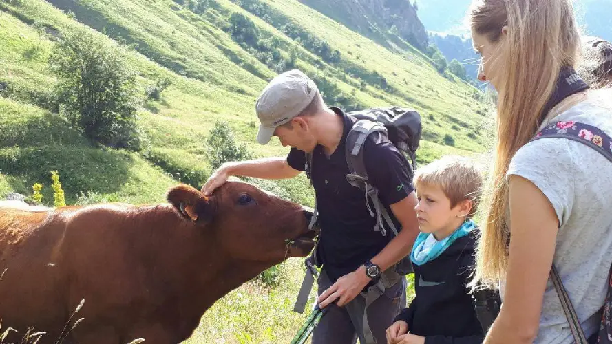 Randonnée pédestre