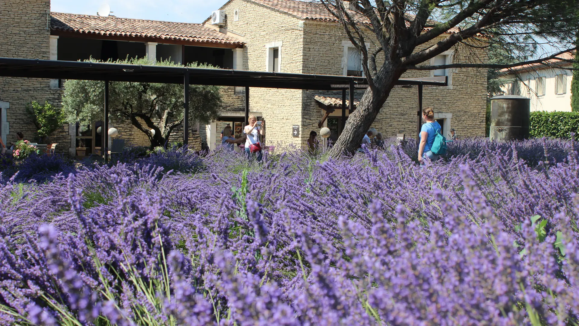 Musée de la Lavande