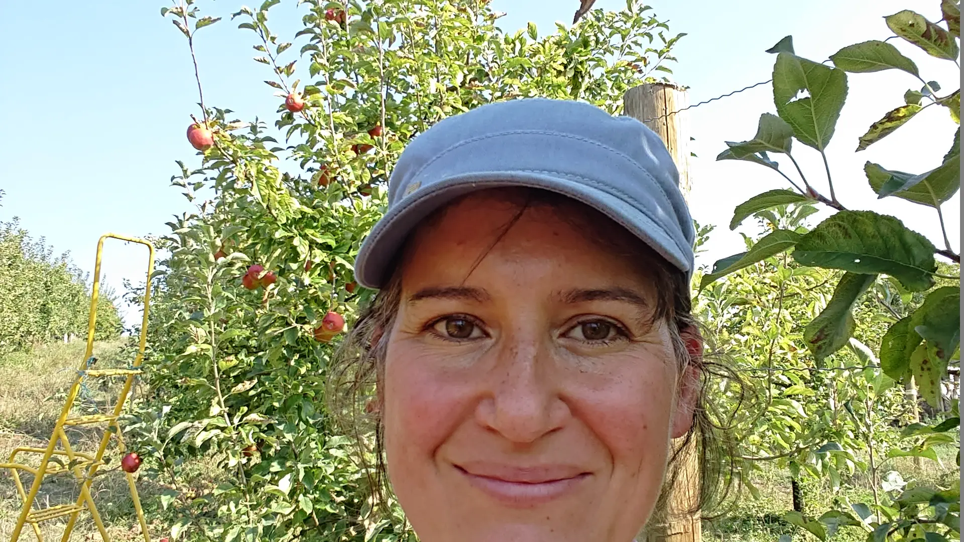 Anne-Marie Rousset, cultivatrice de pommes