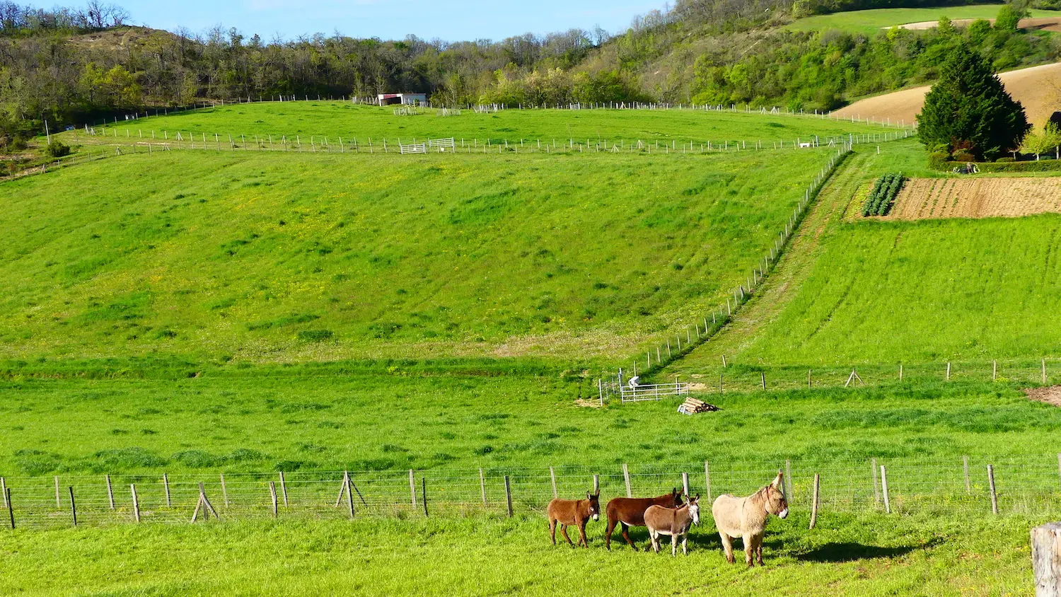 St Vincent Lespinasse